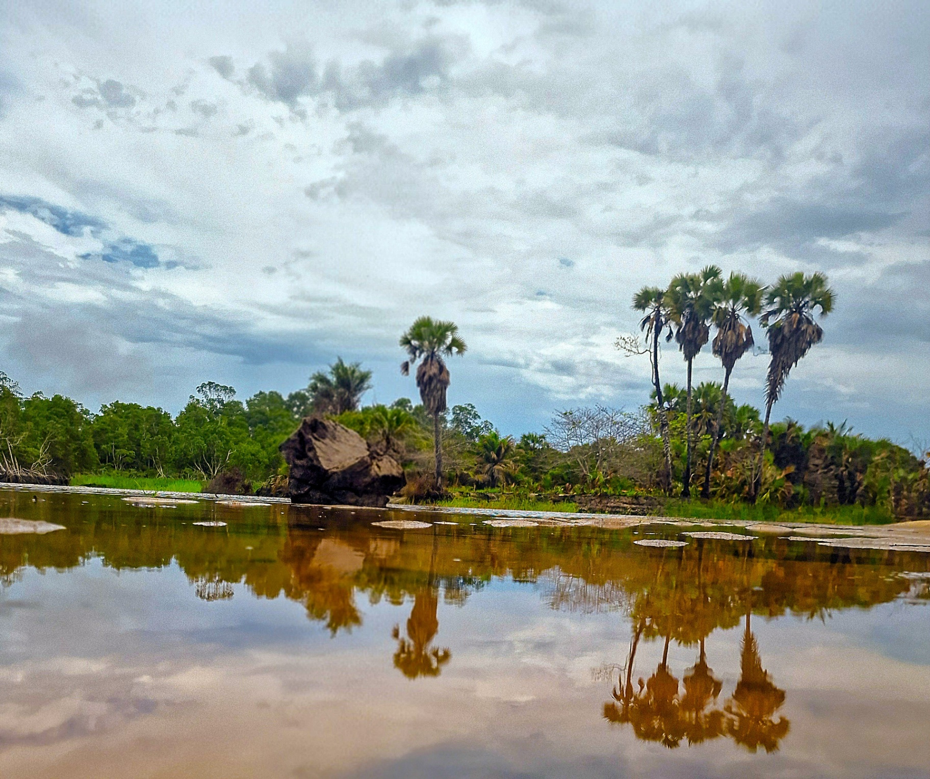 Eco Responsable